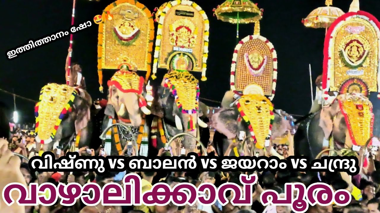 ഇത്തിത്താനം, ബാലൻ, ജയറാം, ചന്ദു വാഴാലിക്കാവ് പൂരം 2026 യുവരാജാക്കന്മാർ നിറഞ്ഞാടി 🤩🔥