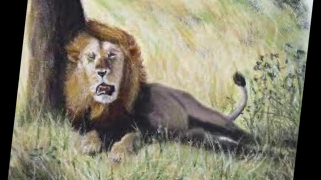 1. OULAHLOU le lion et la gazelle - izem&taghzalt