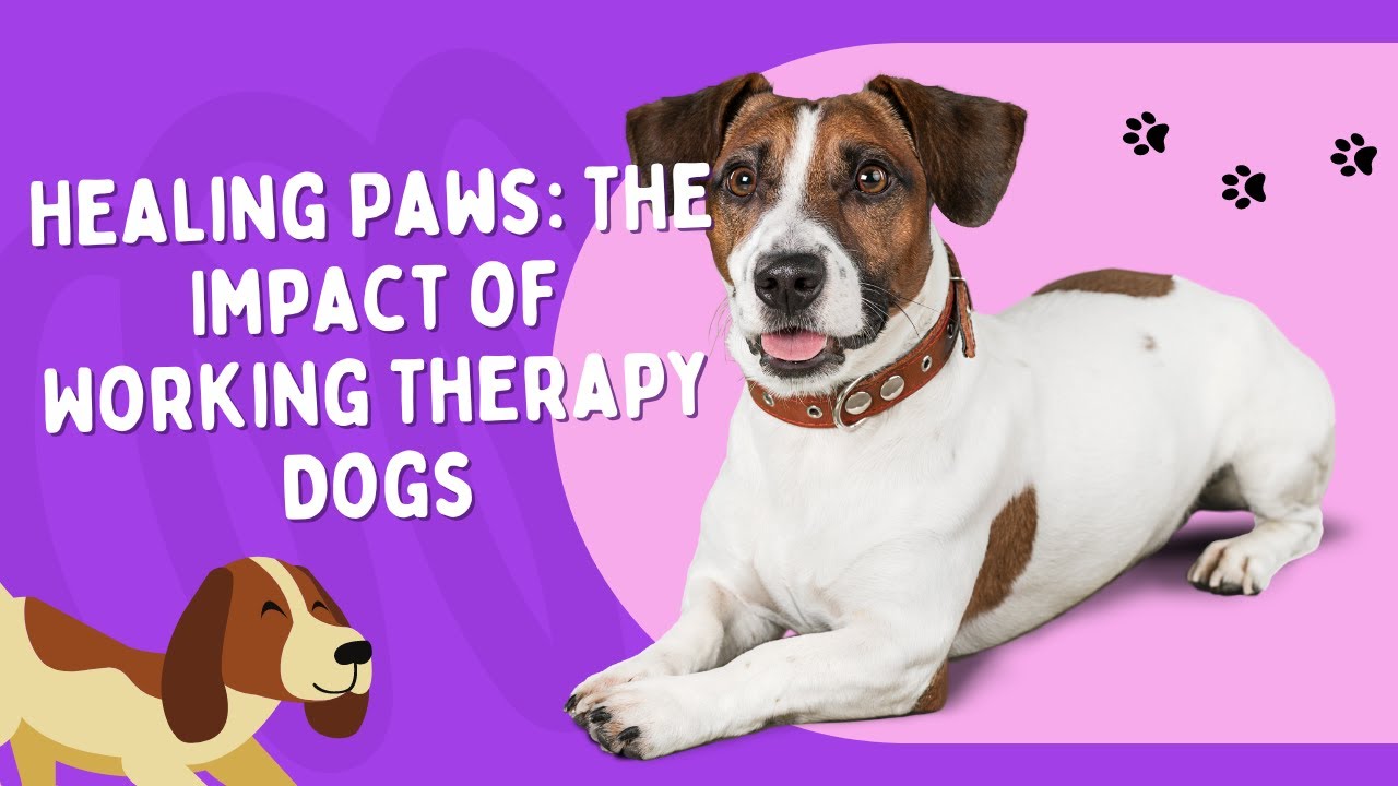 Healing Paws: The Impact of Working Therapy Dogs