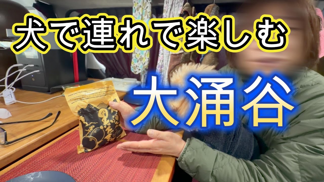 【正月の大涌谷】愛犬とロープウェイに乗って絶景に感動！ペット同伴OKの箱根観光するならココ！
