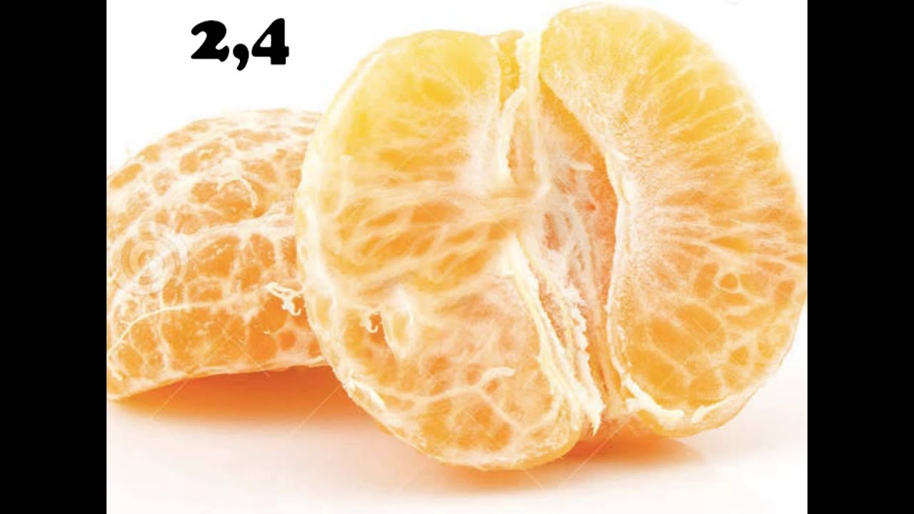 Info#1 L'alimentation du pogona