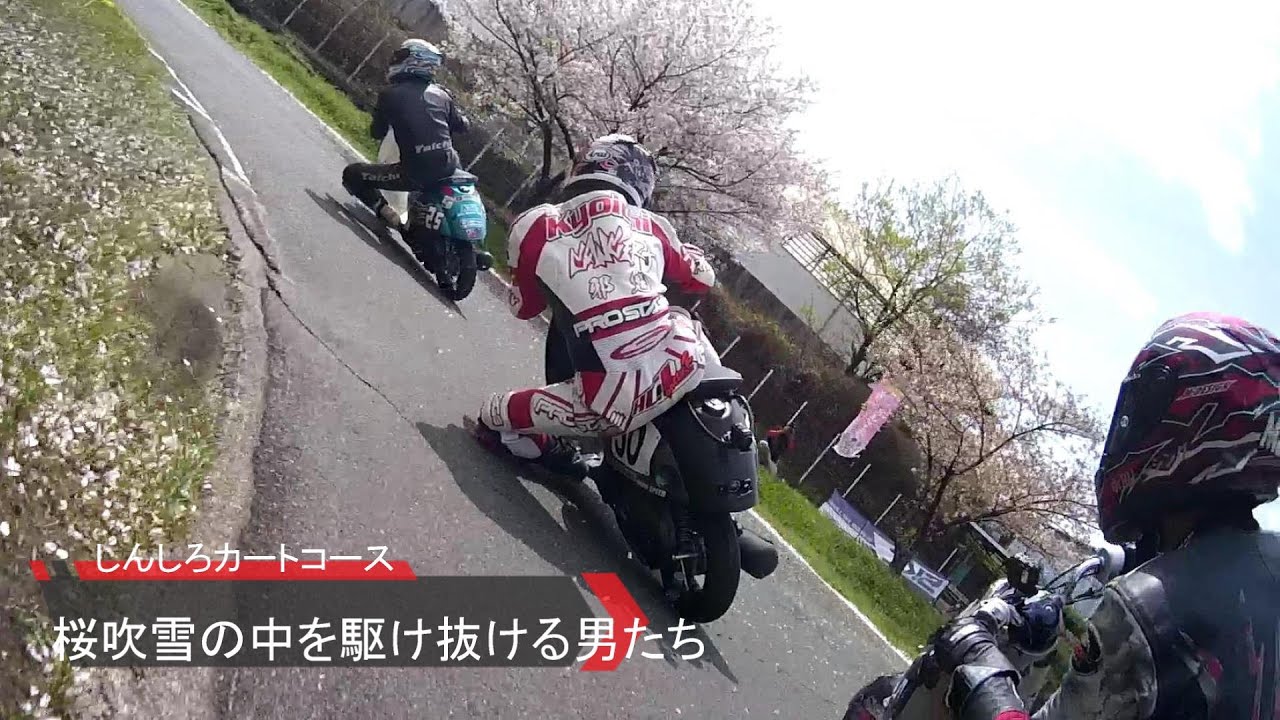 桜吹雪の中を走るライダー達　しんしろ