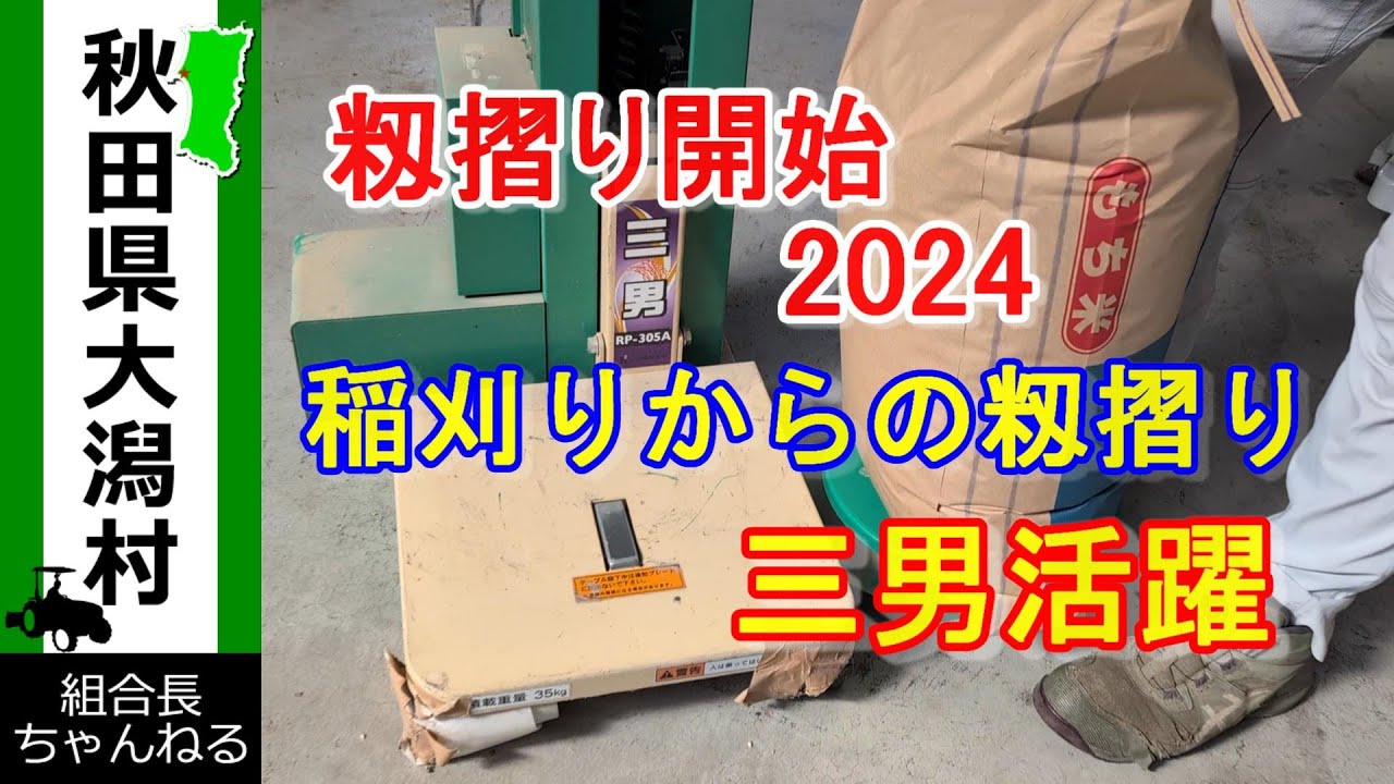 【籾摺開始　2024】稲刈り動画よりも先に籾摺り動画　私の仕事は籾摺作業　今年は米価が上がったね♪
