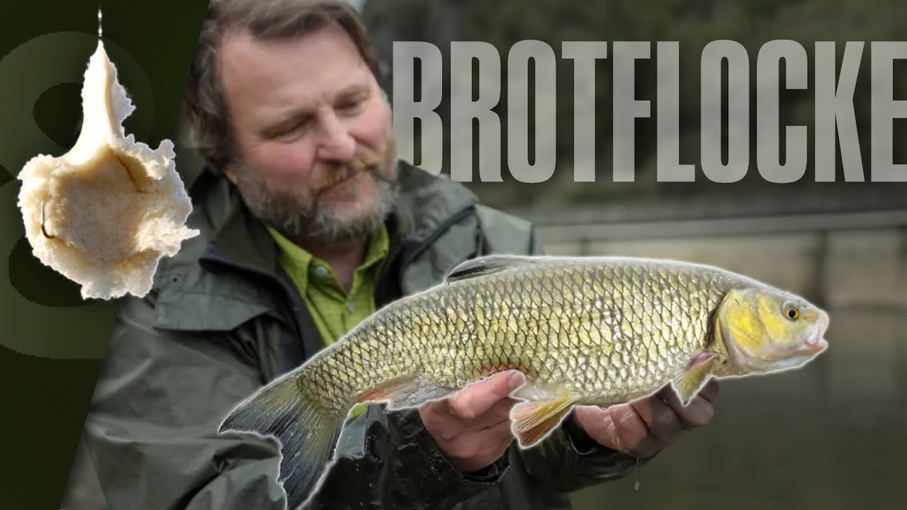 G&uuml;nstiger Angelk&ouml;der: Mit Brotflocke auf Friedfische im Fluss 🍞