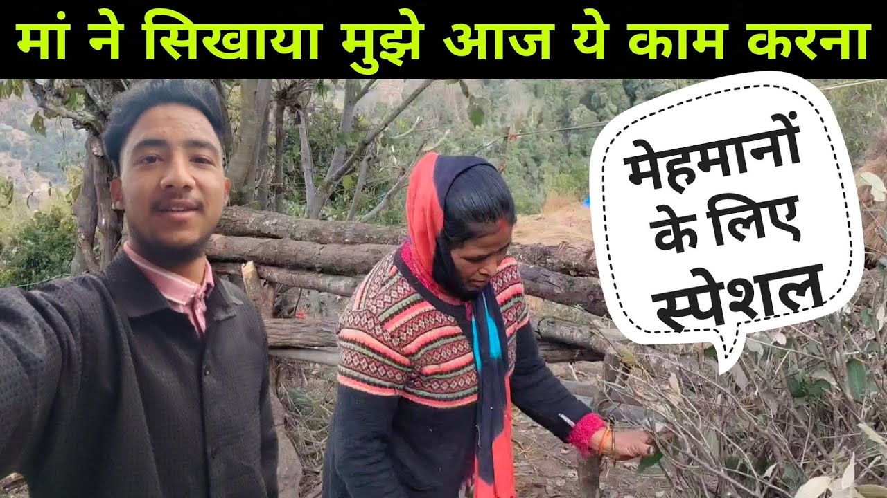 मां ने सिखाया मुझे आज ये काम करना | pahadi life style vlog | 