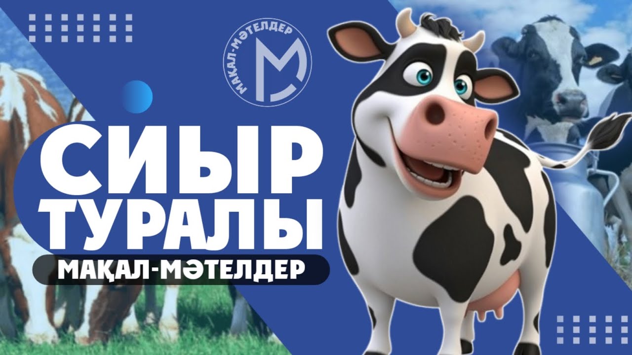 Сиыр туралы мақал - мәтелдер