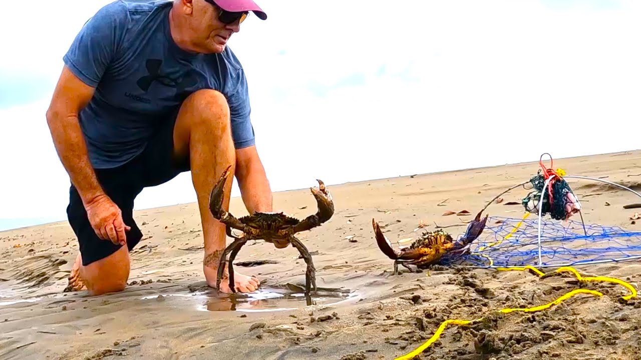MUD CRABS | Quick and Easy Catch | BEACH COOK UP