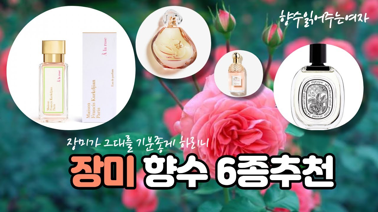 꽃의 여왕 장미 향수추천 6종 추천 딥티크 오 로즈 프란시스 커정 아 라 로즈 플로럴향수