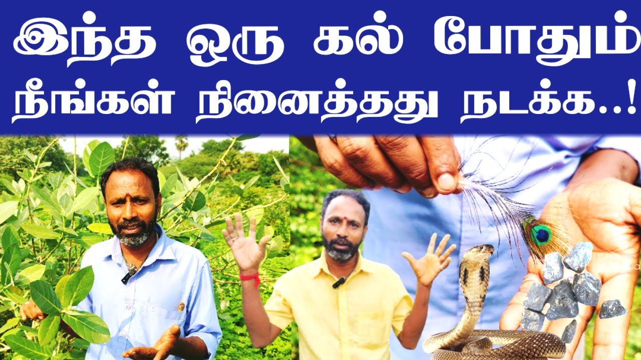 இந்த ஒரு கல் போதும் நீங்கள் நினைத்து நடக்க | Anjana Kallu Benefits in Tamil