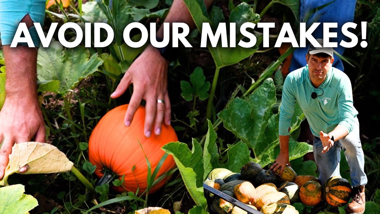 Thinking About Growing Pumpkins to Sell? Watch THIS Video First. 