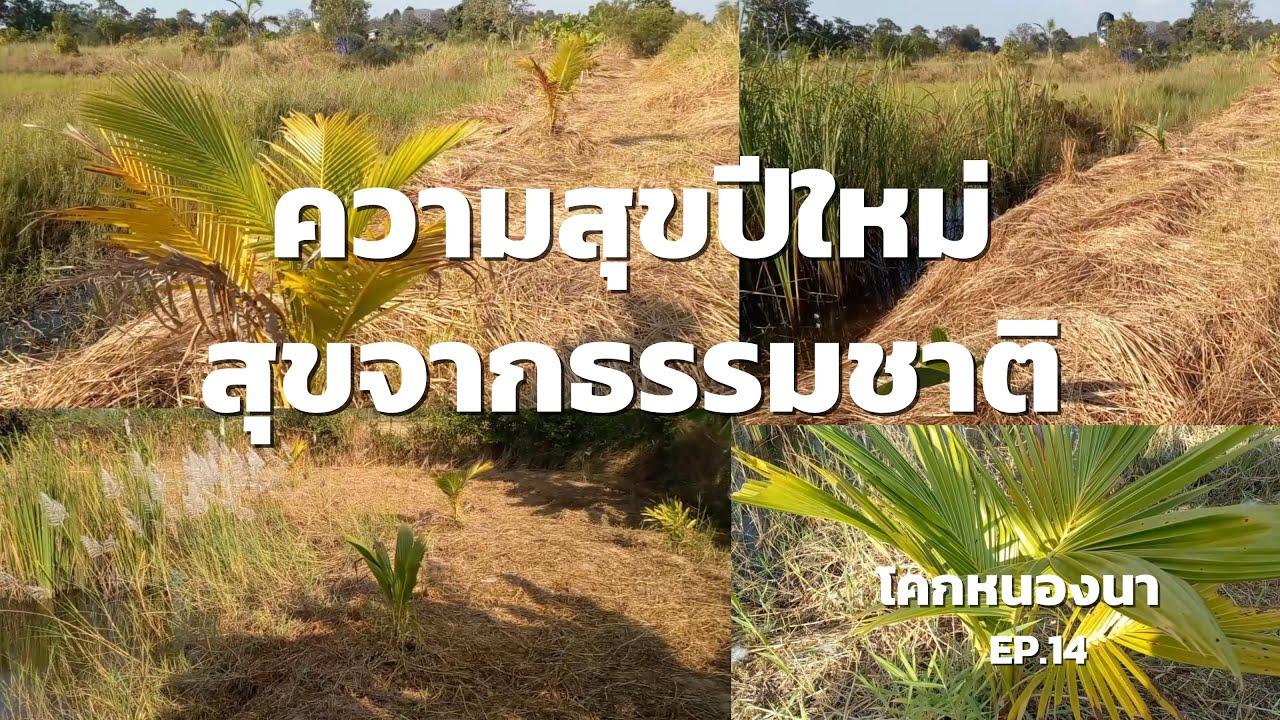 โคกหนองนา EP.14 ความสุขปีใหม่ สุขจากธรรมชาติ