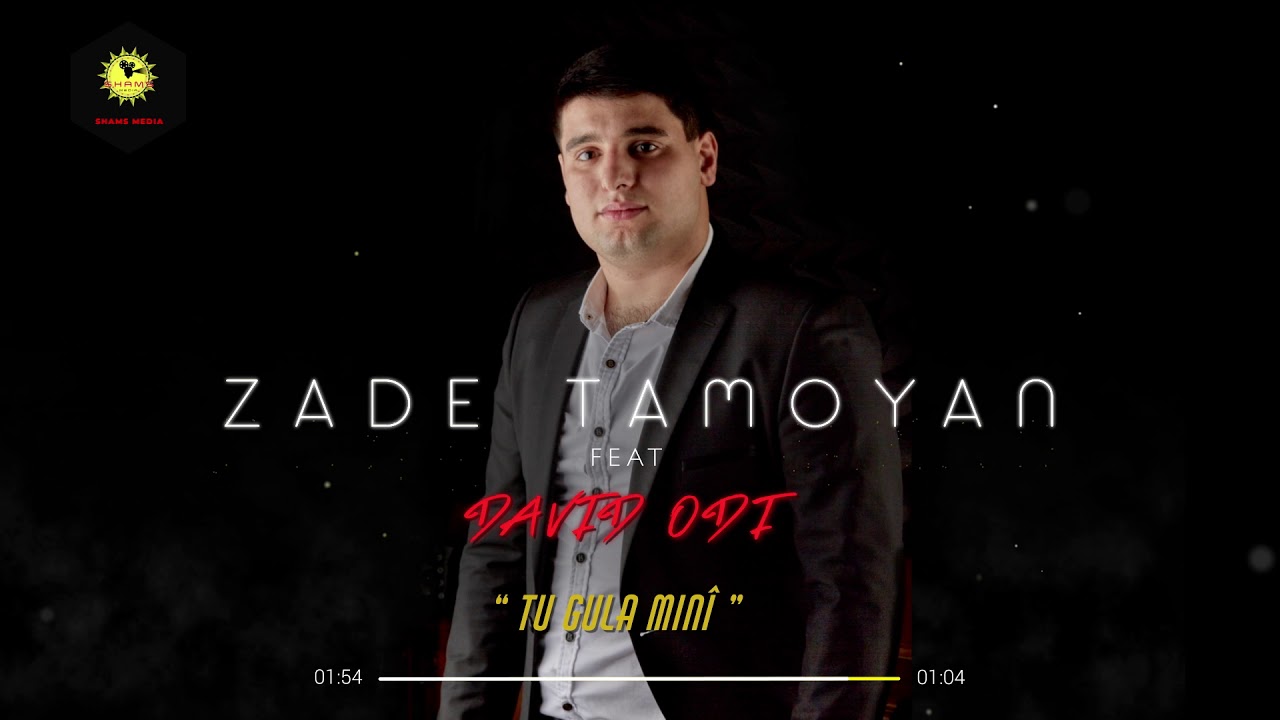 ZADE TAMOYAN feat DAVID ODI - 