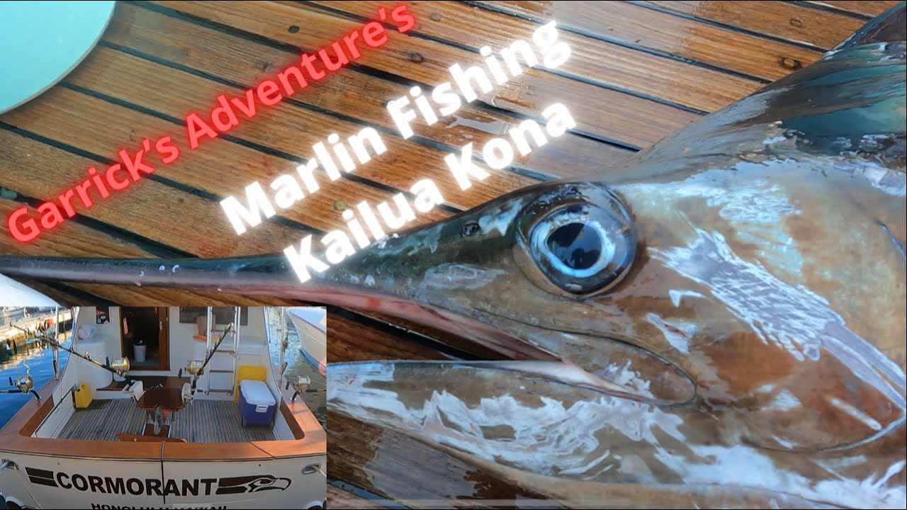 Marlin Fishing Kailua Kona