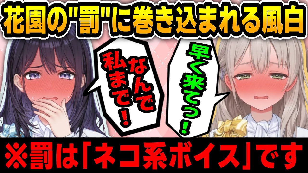 花園アナがフワモコを「猫」と言ってしまった結果...【 #ホロライブ #hololive #切り抜き #花園さやか #風白ゆき #フワモコ #昼ホロ 】