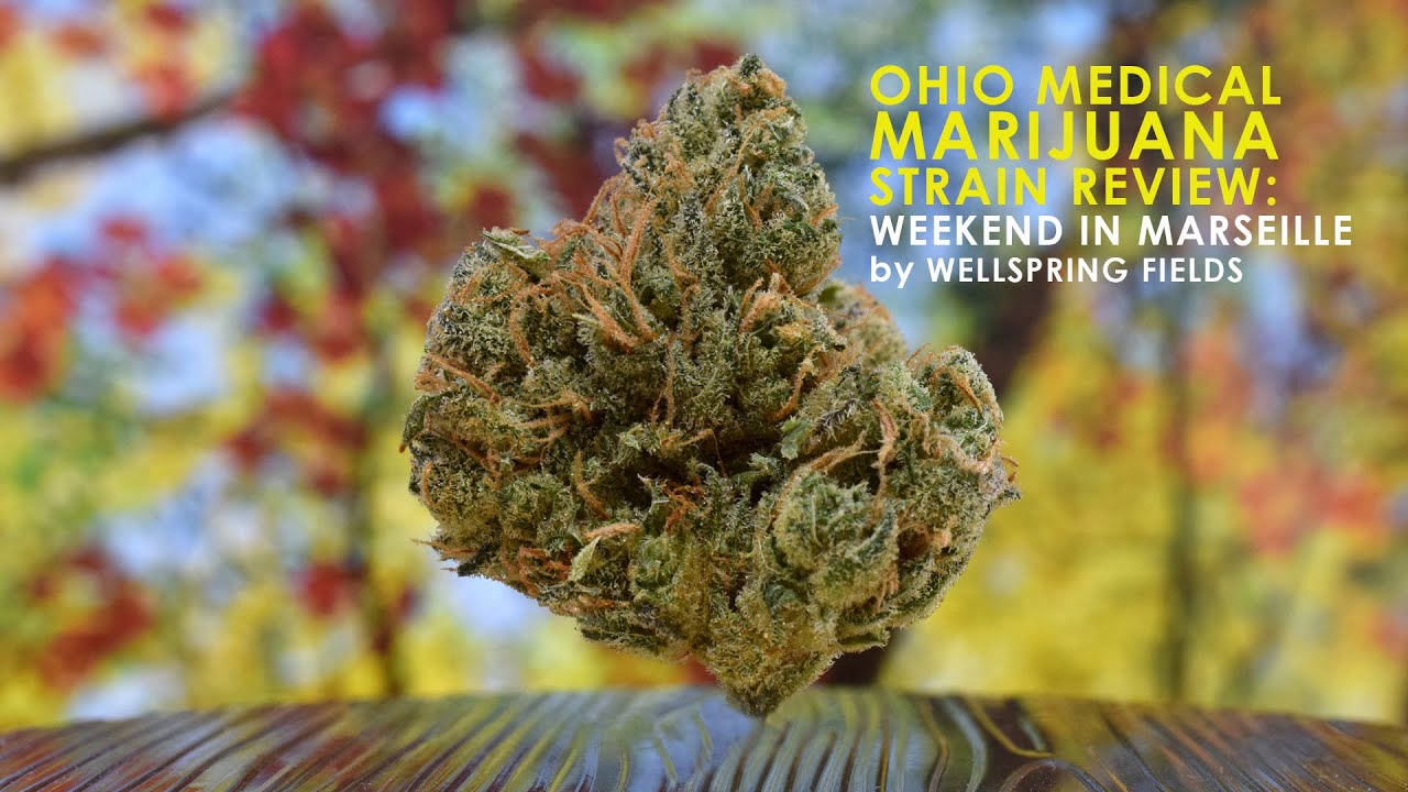 Review: Weekend in Marseille by Wellspring Fields (Ohio Medical Marijuana Strain)