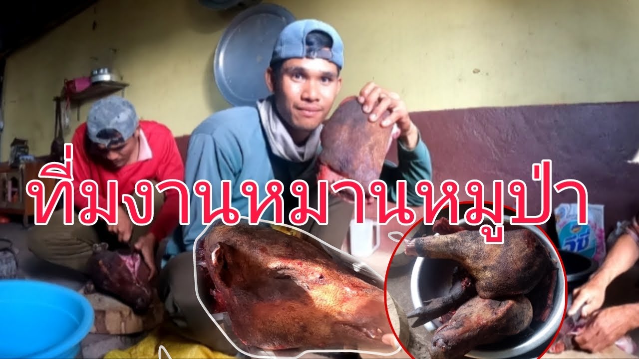 หมูป่าถึกกับดักพรานหนวด  27 ธันวาคม ค.ศ. 2025