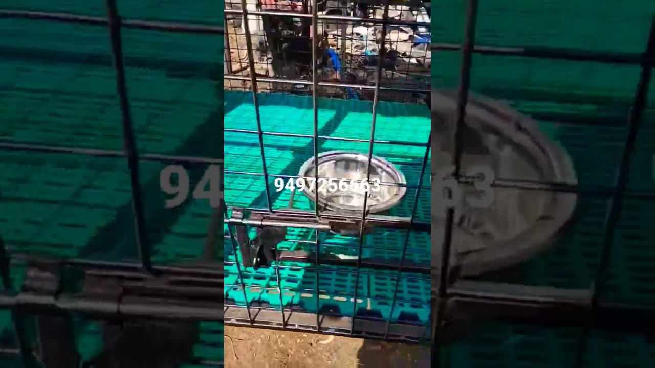 dog cage making malayalam 