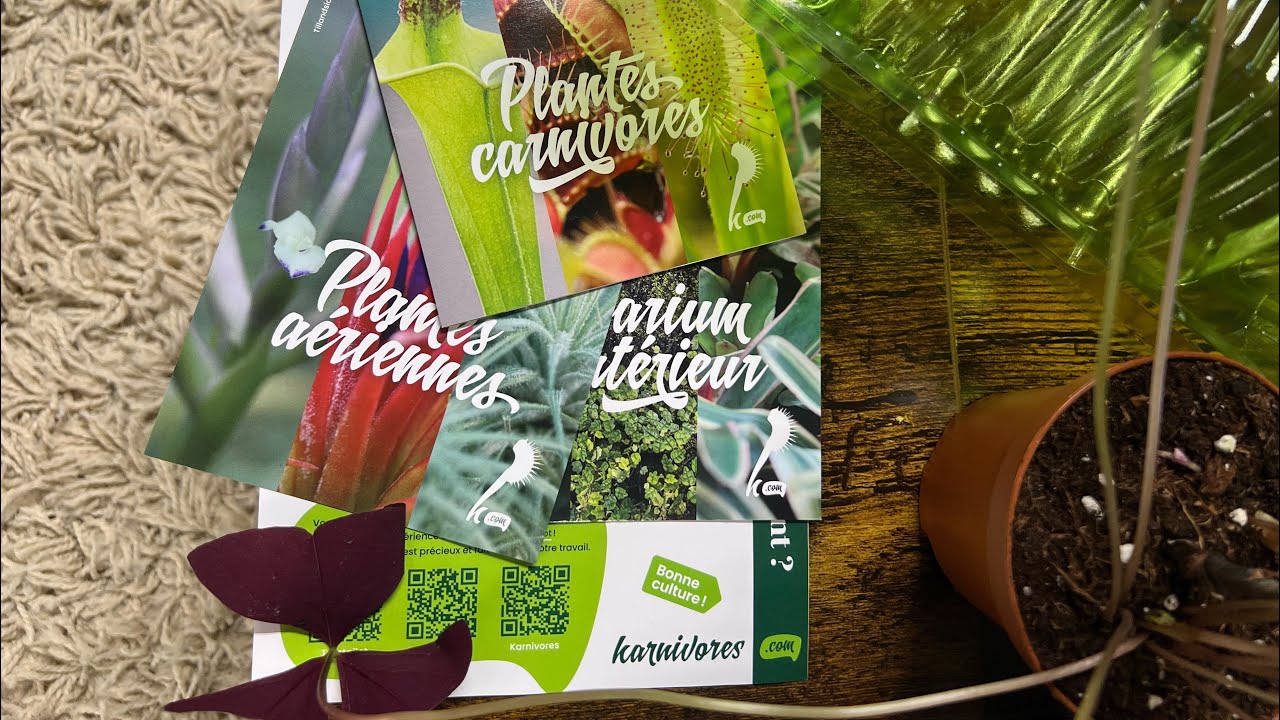Unboxing Plants from « Karnivores.com » 🌱
