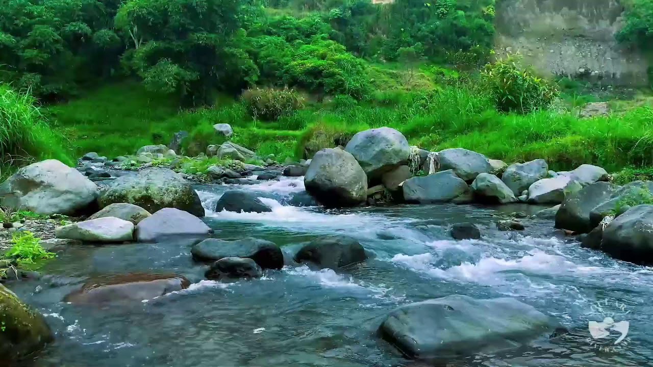River Sounds for Sleeping Night Time | Calm Natural River Ambience for Relaxation