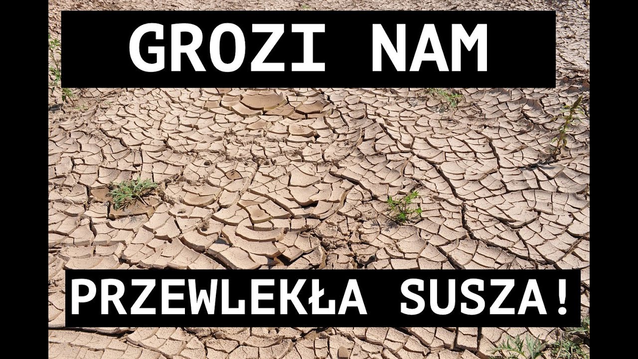 Grozi nam przewlekła susza!