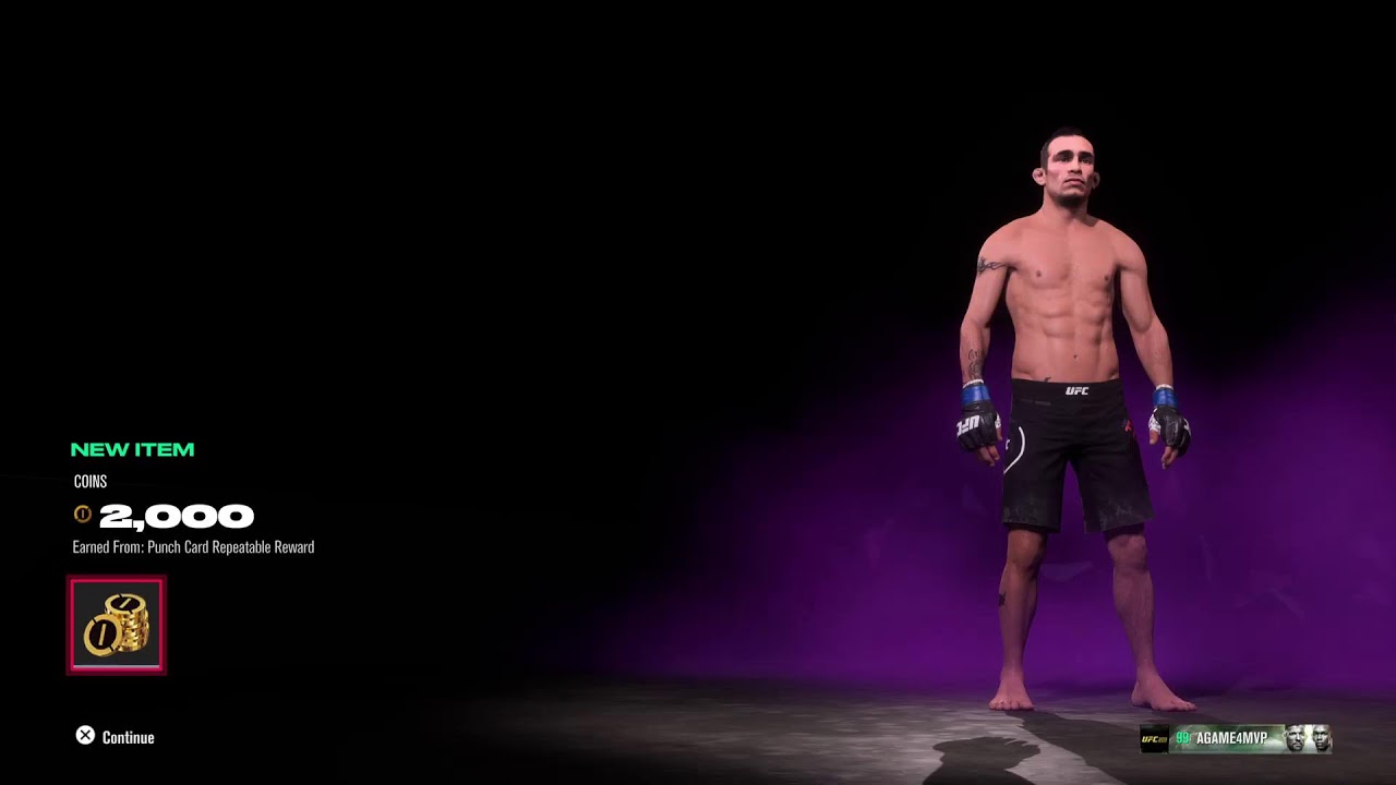 UFC GOAT JOURNEYMAN