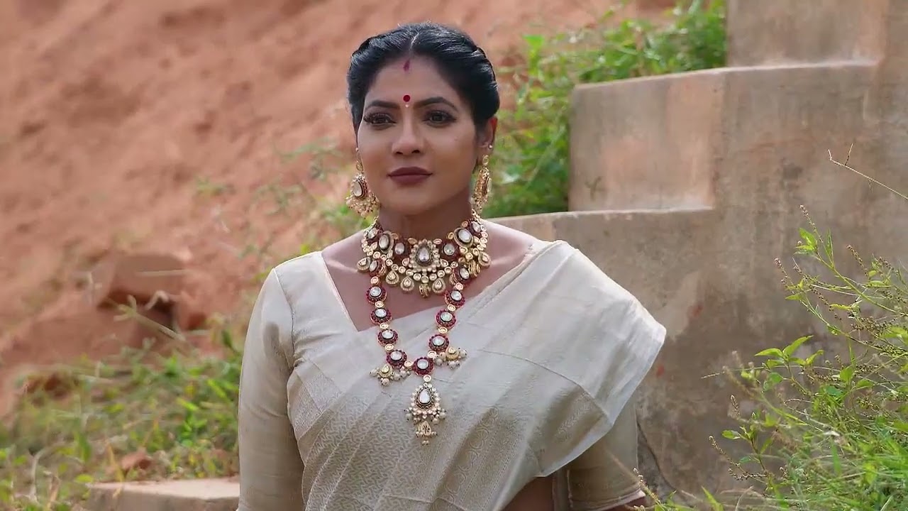 Karthigai Deepam - Full Ep - 675 - Karthikeyan, Deepa, Abirami - Zee Tamil