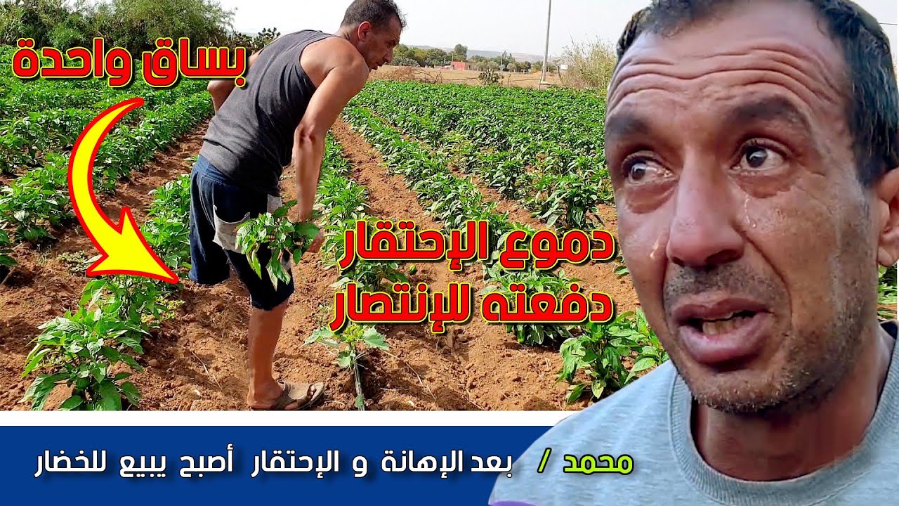 روتين يومي مع محمد في البادية