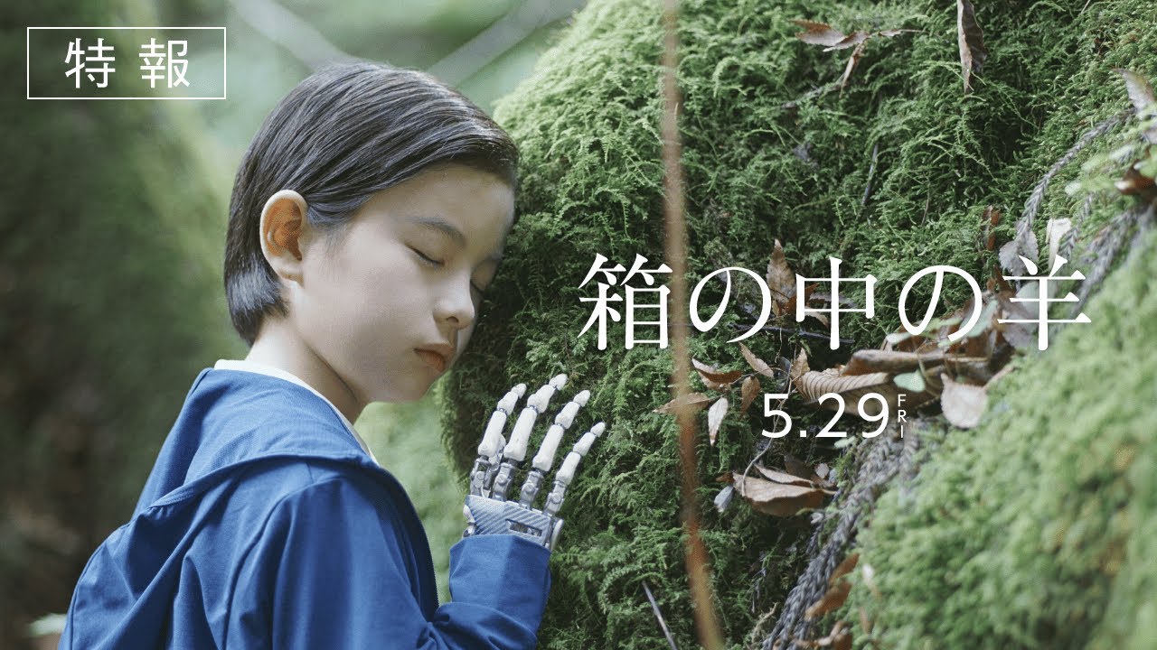 映画『箱の中の羊』特報予告映像【5月29日（金）全国公開】