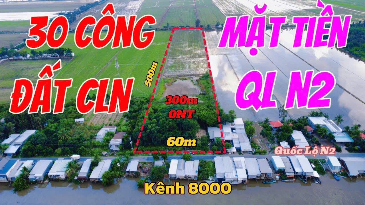 🌾 Giá rẻ 30 công đất mặt tiền QLN2 60 x 500 có 300m2 ONT || Ivan Tùng