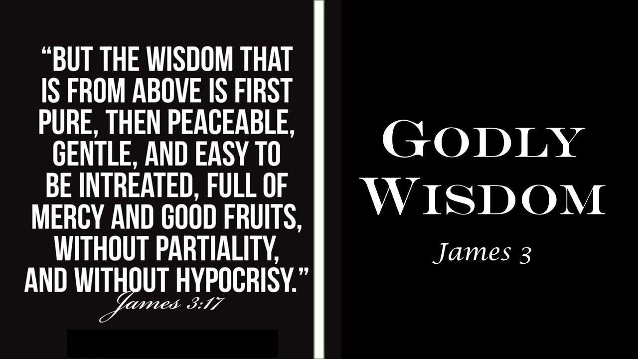Godly Wisdom