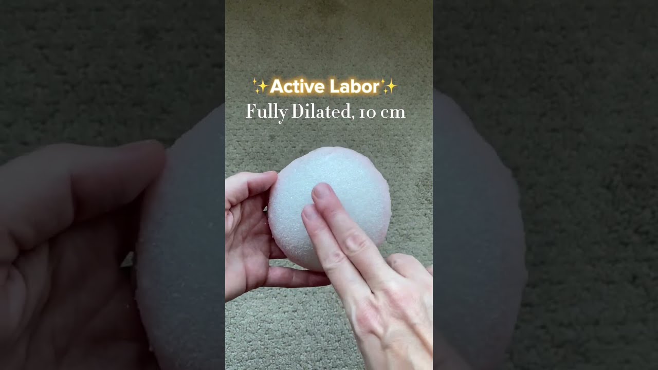 You Cervix and Dilation #childbirtheducation #stagesoflabor #activelabor #earlylabor