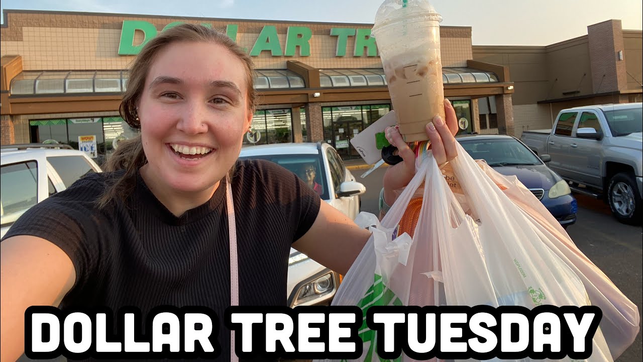 Halloween already? Sensory Bin Ideas? DOLLAR TREE TUESDAY!