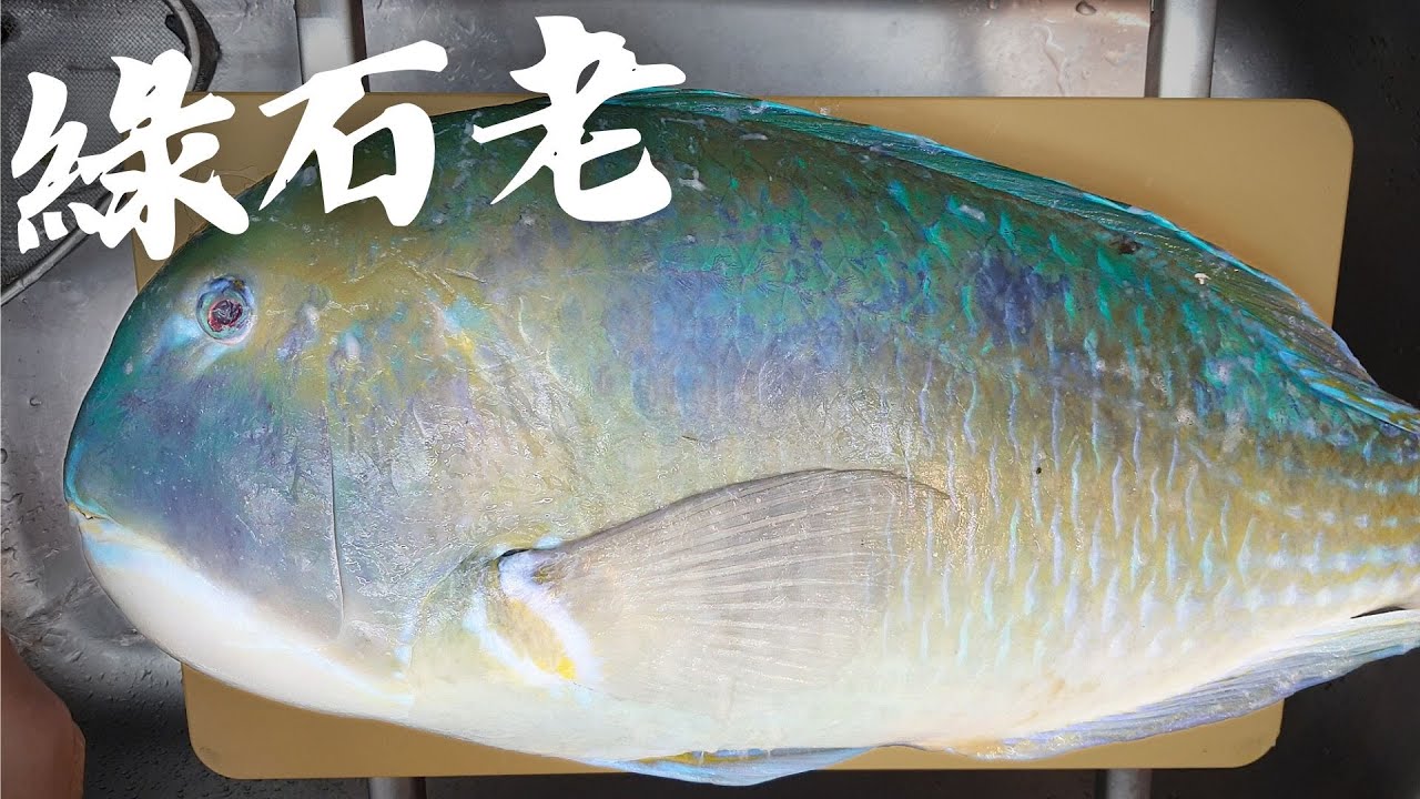 用澎湖空運的綠石老做澎湖名菜石老酸菜鍋 Ft. 