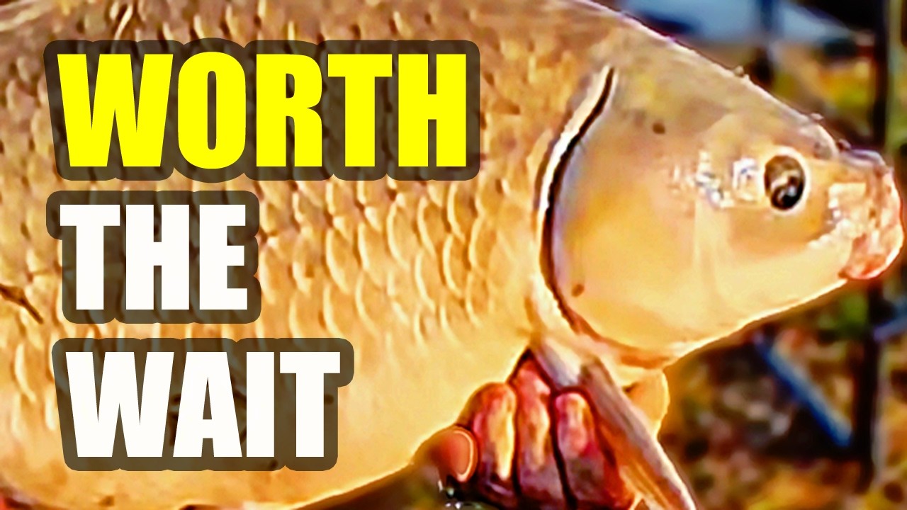 Patience Pays Off! | Bank Fishing For Smallmouth Buffalo