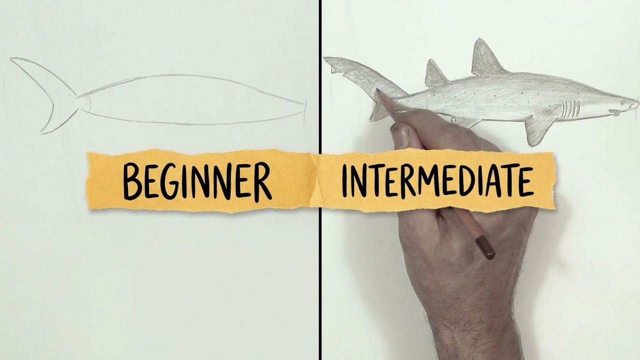 HOW TO DRAW A SHARK- Grey Nurse (Beginner)- Spoken Tutorial