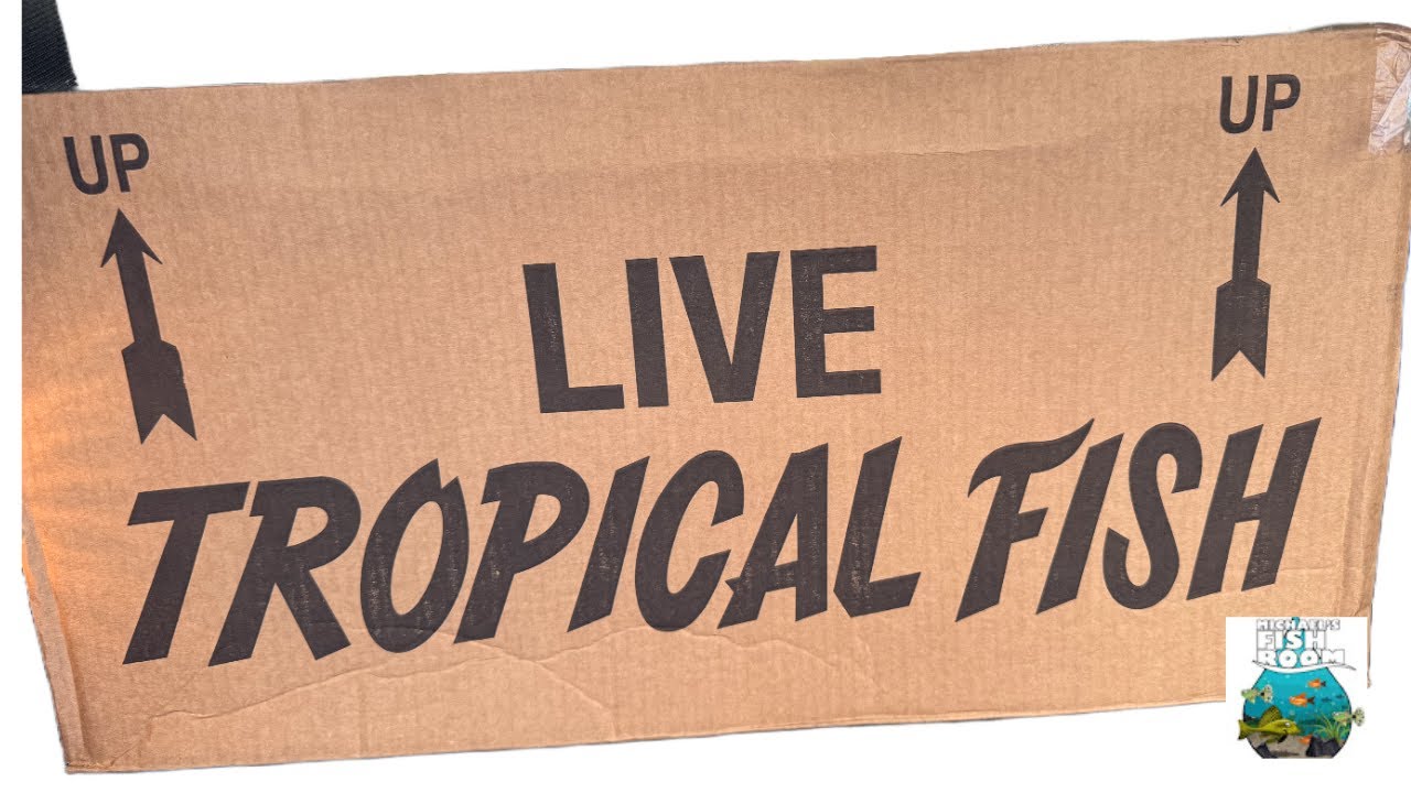 First Live Fish Unboxing