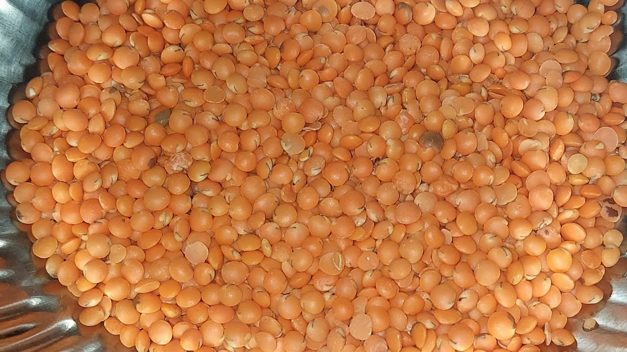 সকালের হালকা ও স্বাস্থ্যকর রান্না 🥬 ডাল-সবজি লাইভ | Halal Cookbook