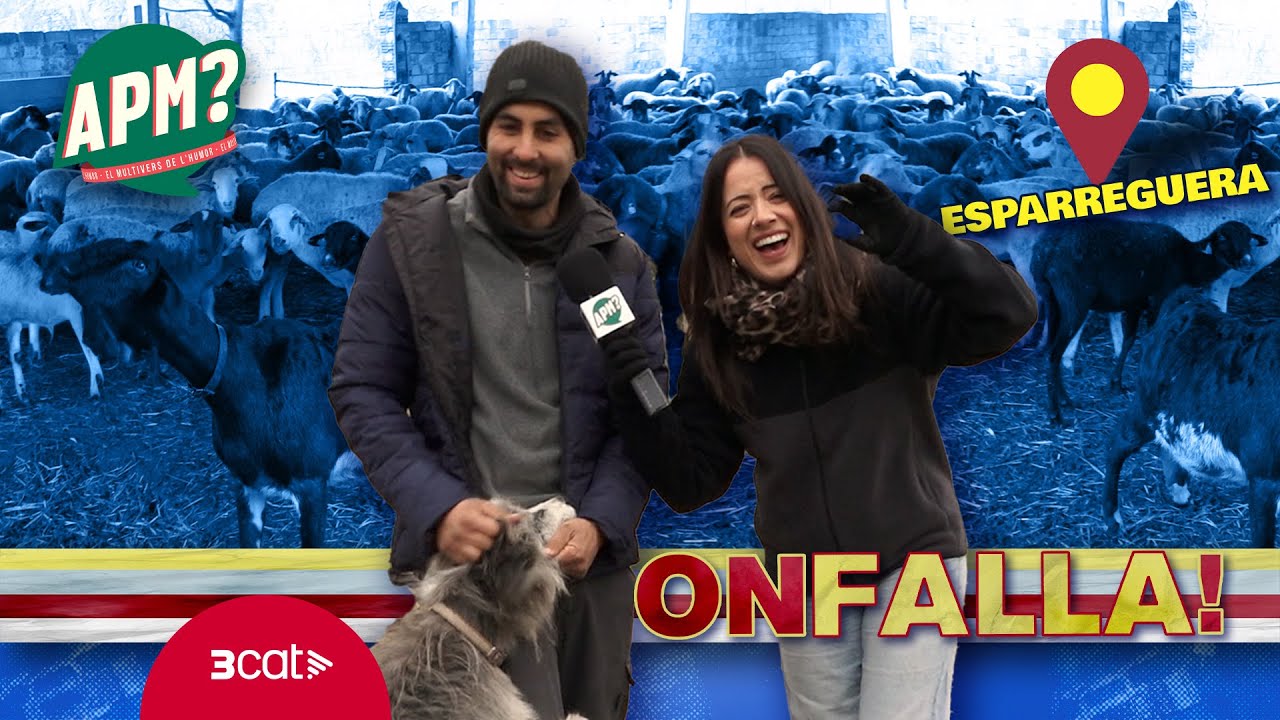 La Nerea Sanfe apr&egrave;n l'ofici de PASTURAR OVELLES 🐑 - ON FALLA!