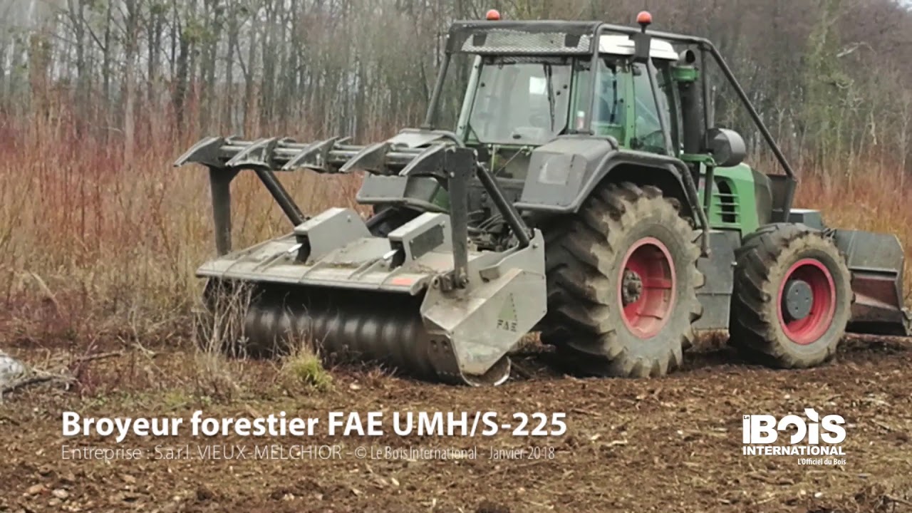Broyeur FAE UMH/S-225 dans des recrus ligneux suite à une coupe rase de peupliers