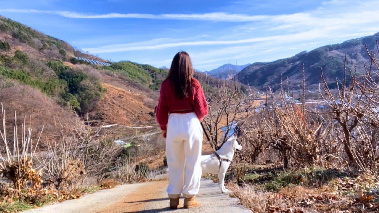 오랜만에 집 옆 산을 올랐어요