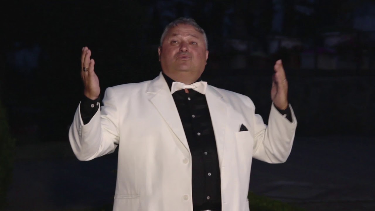 KOVÁCS TIBOR - Jegenyefán fészket rak a csóka