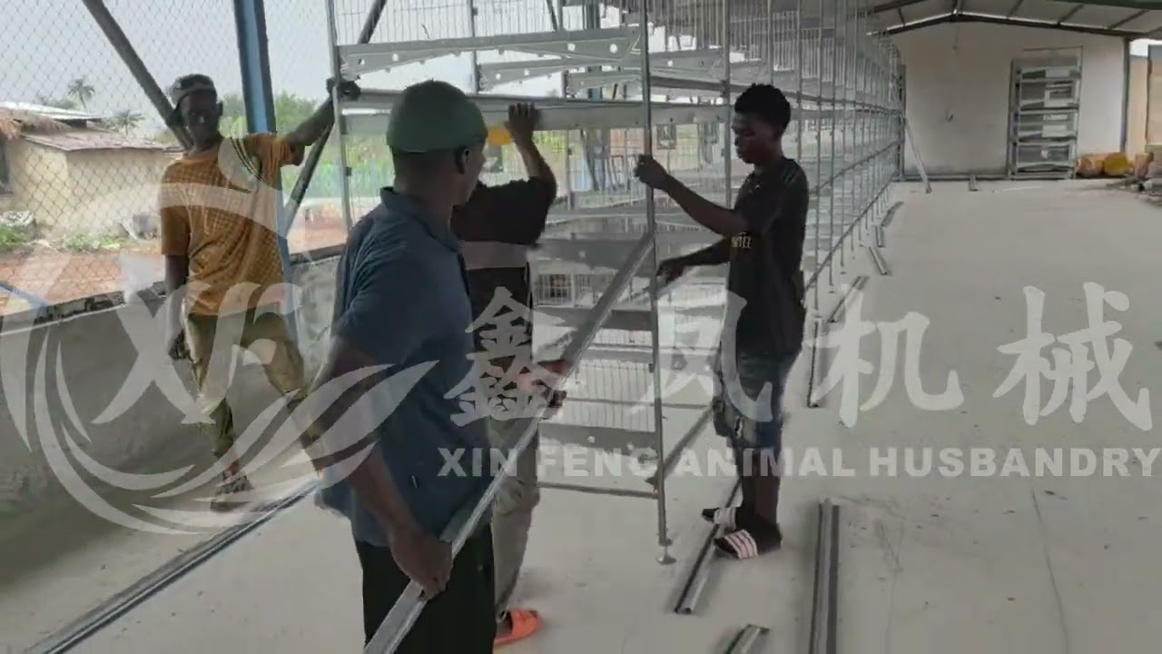 Poultry Chicken Farm Automatic H Type 10000 Layer Chicken Cages Customer Installation Case