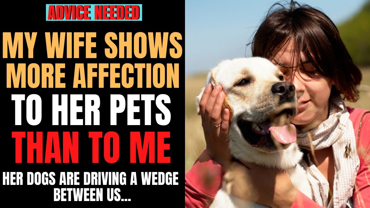 My Wife Shows More Affection To Her Pets Than To Me | Marriage Advice | Redit  Stories