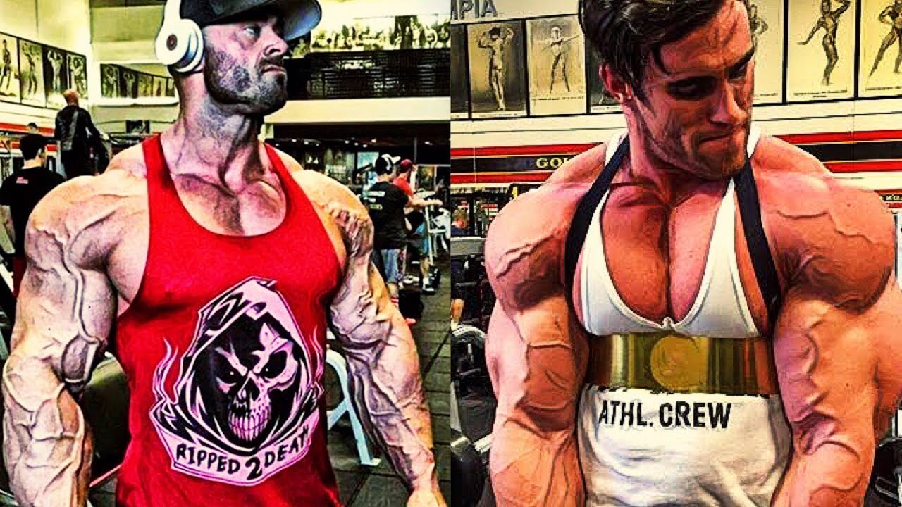SONS OF IRON - Bodybuilding Lifestyle Motivation