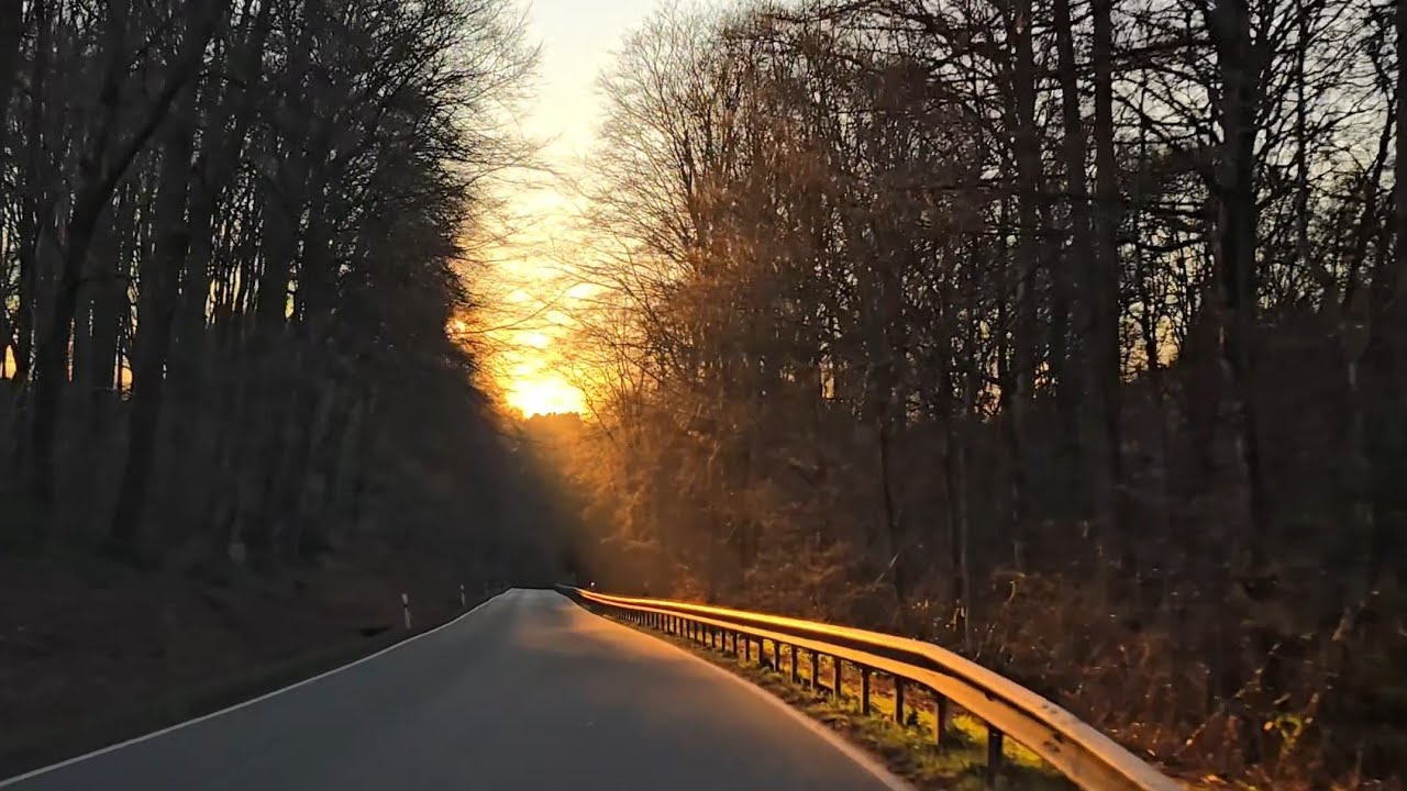 Driving: the Netherlands to Luxemburg and back | Portrait mode | Slow music | ASMR | Scenic drive