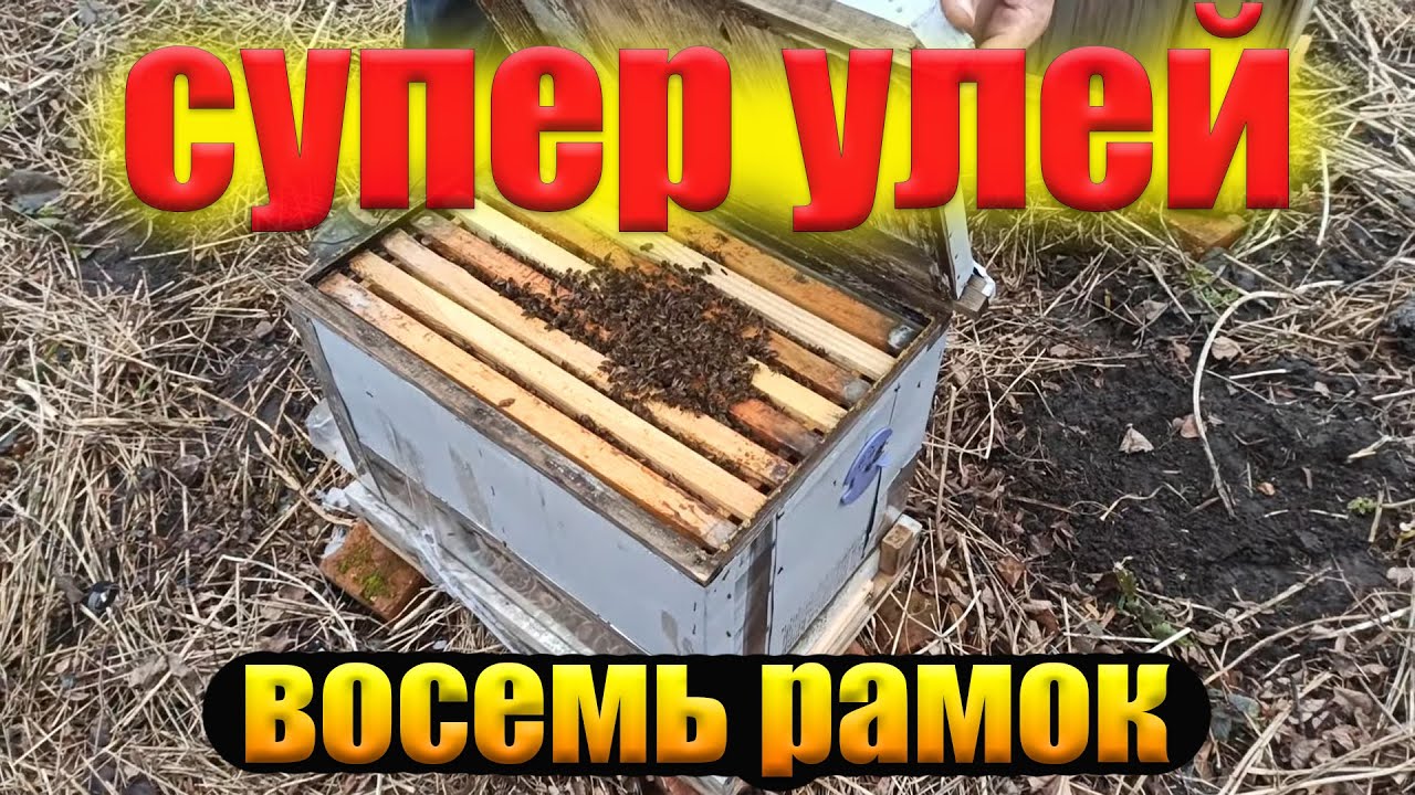 Восьмирамочный улей. Хороший во многом. Легкий улей для пчел и меда на вашу пасеку