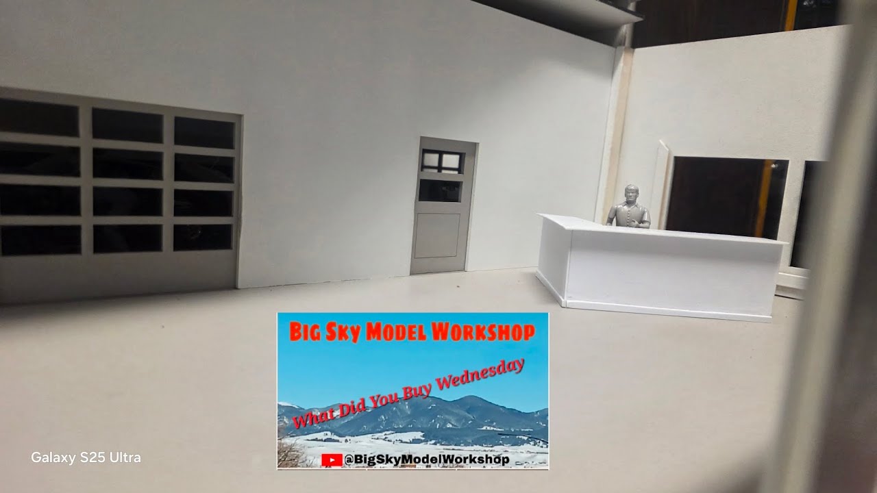 W.D.Y.B.W. Ведущий: Джо @BigSkyModelWorkshop