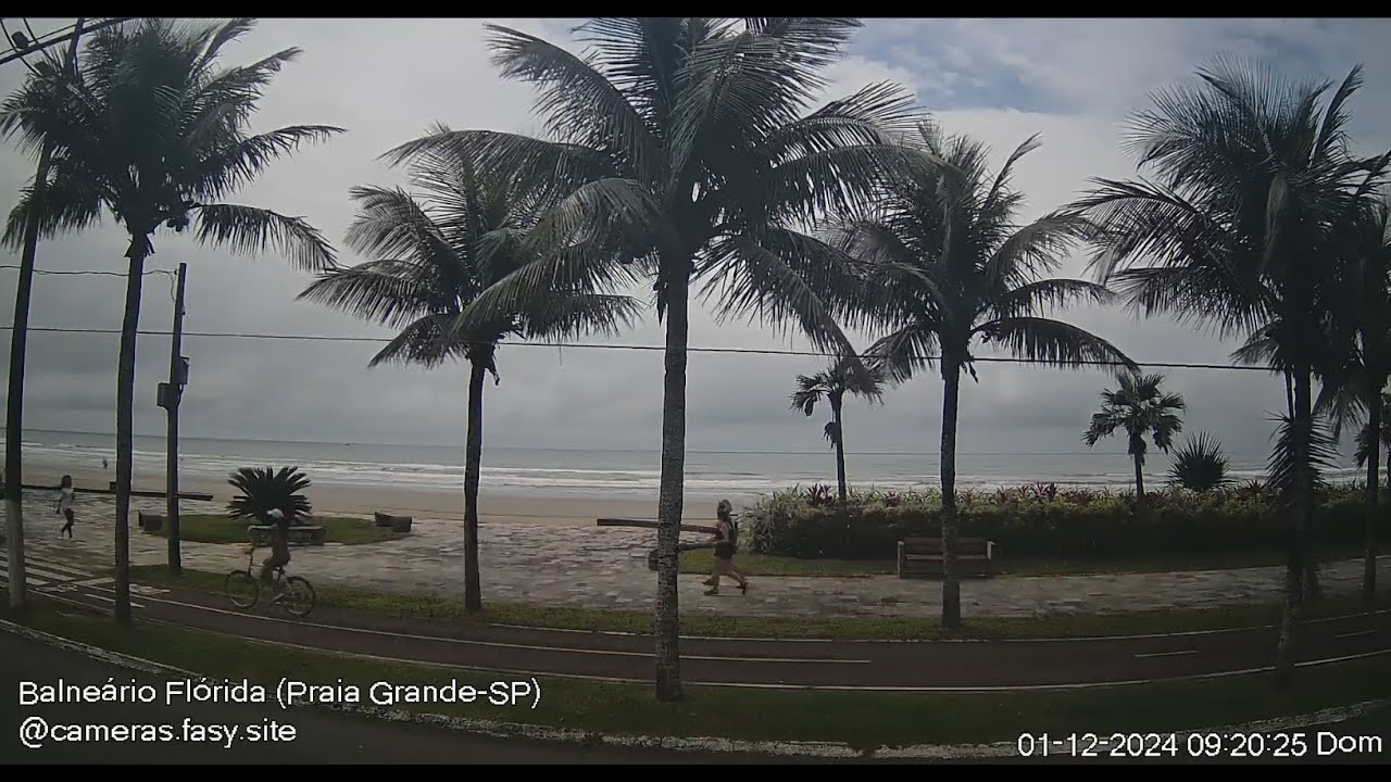dia de Carnaval em PRAIA GRANDE-SP (AO VIVO)