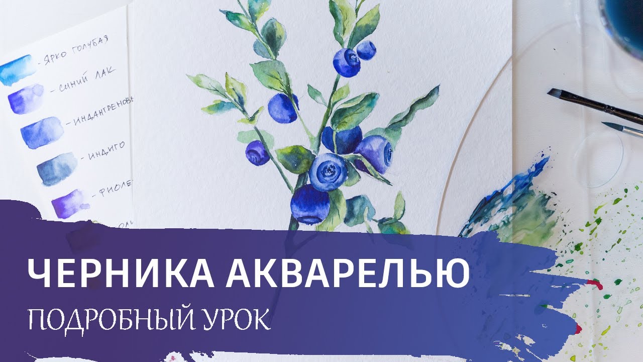 Акварель для начинающих. Подробный урок по ботанической иллюстрации. Черника акварелью.