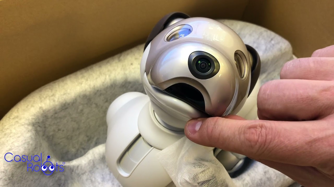 Casual Robots - Aibo ERS 1000 Unboxing